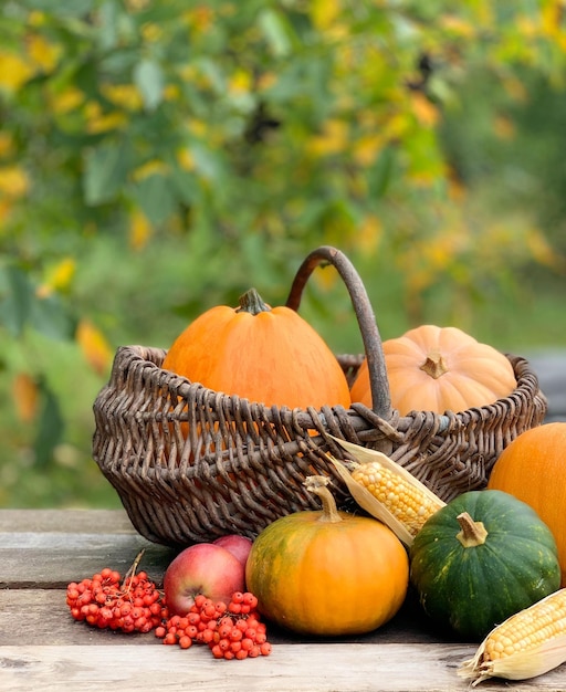 Kürbis-Nahaufnahme auf einem herbstlichen Hintergrund. Banner für Halloween und Erntedankfest. Herbstgemüse