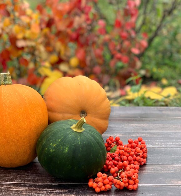 Kürbis Nahaufnahme auf einem hölzernen Hintergrund. banner für halloween und erntedankfest