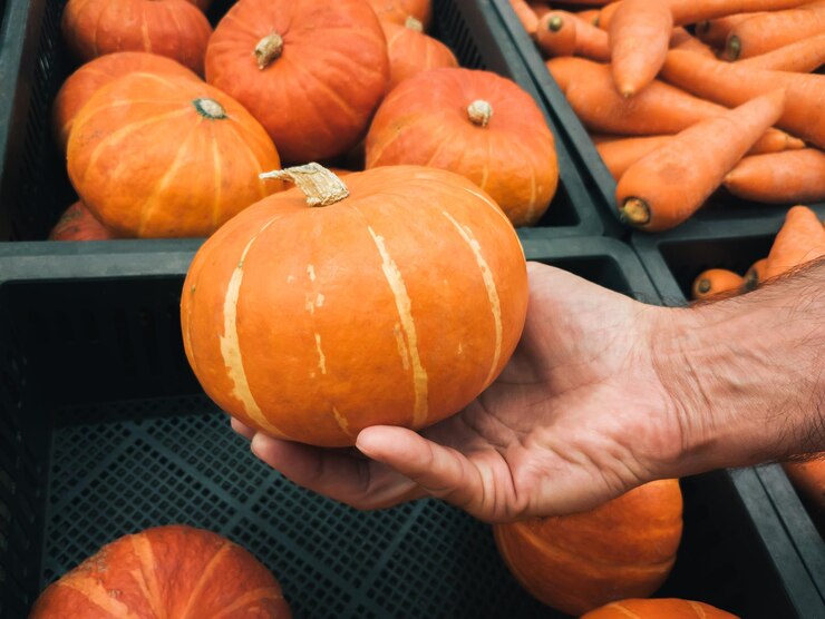 Foto kürbis roter kuri kürbis hokkaido in der hand eines mannes nah vor dem hintergrund von kisten mit kürbissen auf dem markt