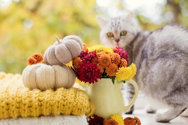 Kürbis- und Chrysanthemenblumenstrauß im Freien stricken