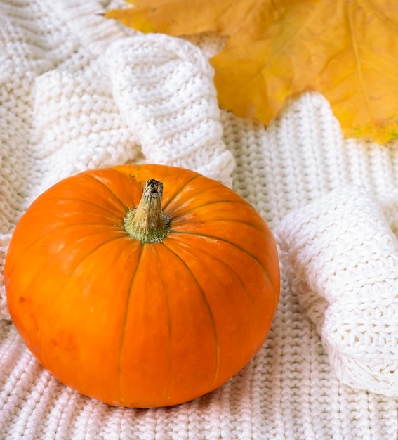 Foto kürbis und gelbe ahornblätter auf weißem gestricktem hintergrund herbstkonzept selektiver fokus geringe schärfentiefe