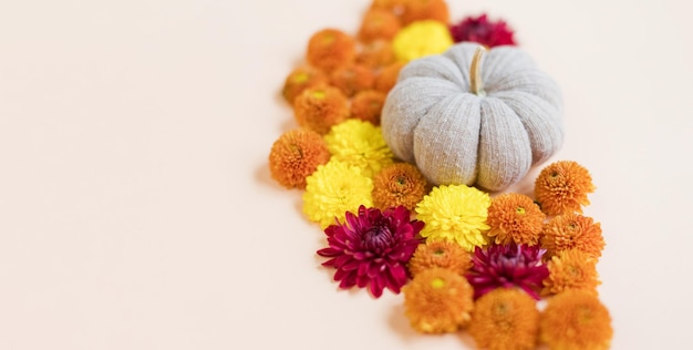 Kürbis und orangefarbene Chrysanthemen stricken