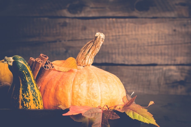 Kürbis- und Zimtnahaufnahme. Herbst. Erntedank- oder Halloween-Konzept, Kopienraum