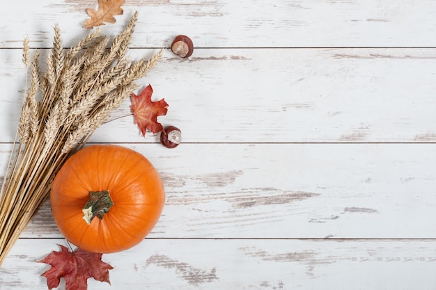 Kürbisbündel Weizen und getrocknete Blätter auf Draufsicht des weißen hölzernen Hintergrundes Beschneidungspfad eingeschlossen. Herbstkomposition