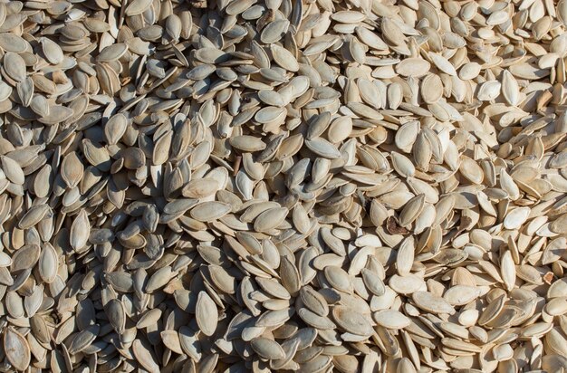 Kürbiskerne. Hintergrund von Kürbiskernen. Viele Samen.