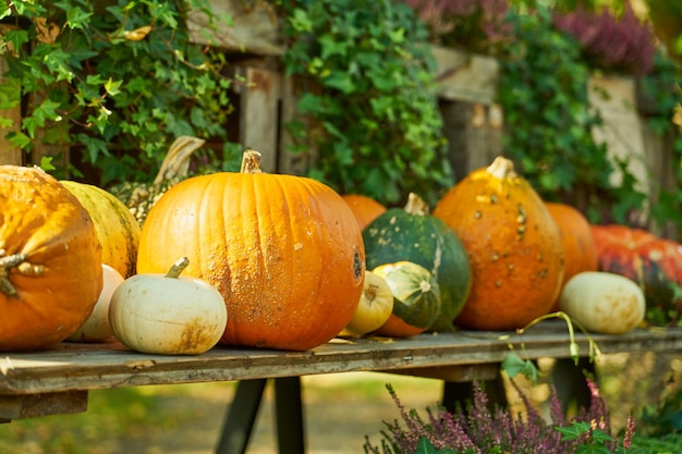 Foto kürbisse auf dem tisch halloween-stimmung