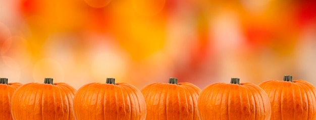 Kürbisse auf einem herbstlichen Bokeh-Hintergrund. Halloween-Hintergrund. Banner. Platz kopieren.