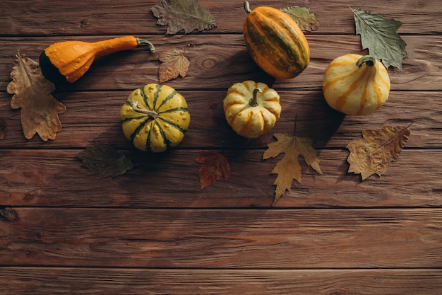 Kürbisse aus der Region, trockene Eiche im Herbst und Ahornblätter zur Dekoration auf einem strukturierten Holztisch.