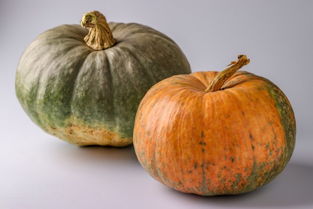 Kürbisse in Grün und Orange auf weißem Hintergrund mit Schatten, Herbststillleben, Halloween-Minimalkonzept, horizontale Ausrichtung, Nahaufnahme