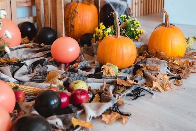 Kürbisse mit Herbstblättern und orangefarbenen Luftballons, kariert, Mais auf dem Boden