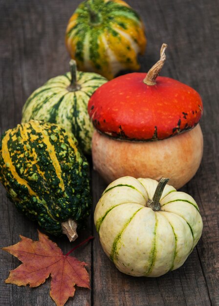 Kürbisse mit Herbstlaub