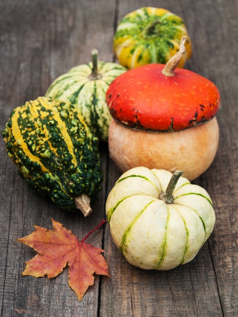 Kürbisse mit Herbstlaub