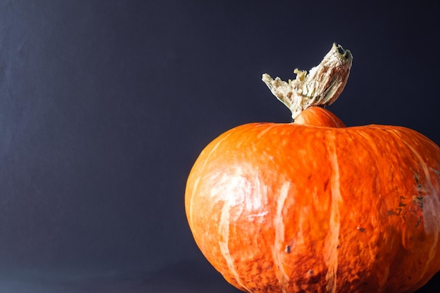 Kürbisse mit schönen Mustern und natürlichen Motiven können für Halloween wirklich bezaubernd sein