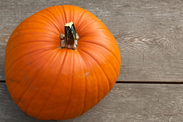 Kürbisse mit schönen Mustern und natürlichen Motiven können zu Halloween wirklich bezaubernd sein