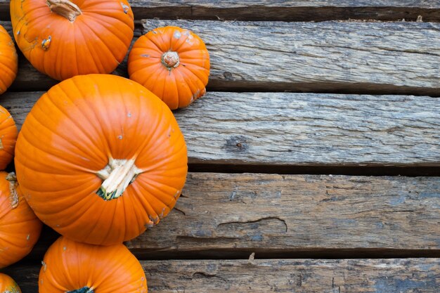 Kürbisse mit schönen Mustern und natürlichen Motiven können zu Halloween wirklich bezaubernd sein