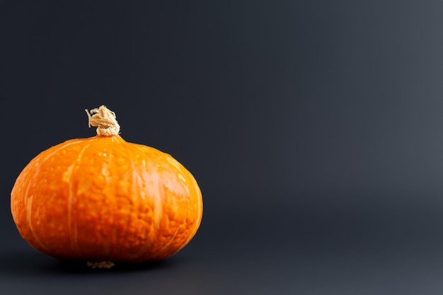 Kürbisse mit schönen Mustern und natürlichen Motiven können zu Halloween wirklich bezaubernd sein