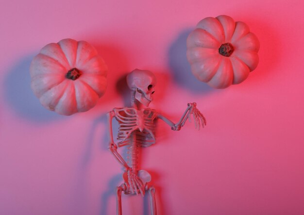 Kürbisse und Skelett in rot-blauem Neonlicht Halloween-Dekor Flache Ansicht von oben
