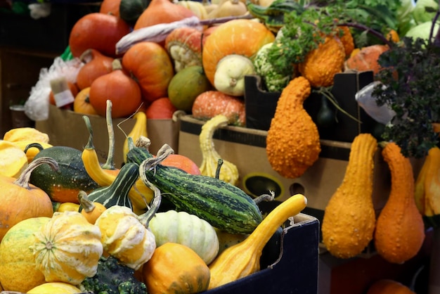 Foto kürbisse zum verkauf auf dem marktstand