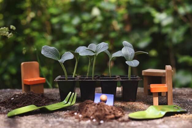 Kürbissprossen-Kindergarten mit Kinderwerkzeugen und Holzspielzeug