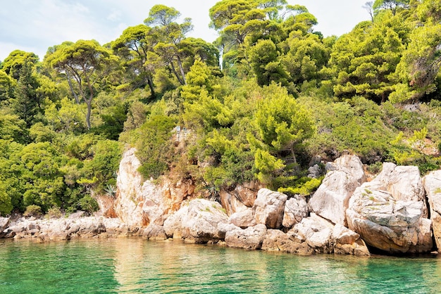 Küste der Insel Lokrum in der Adria, Dubrovnik, Kroatien