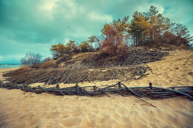 Foto küste der ostsee in palanga litauen