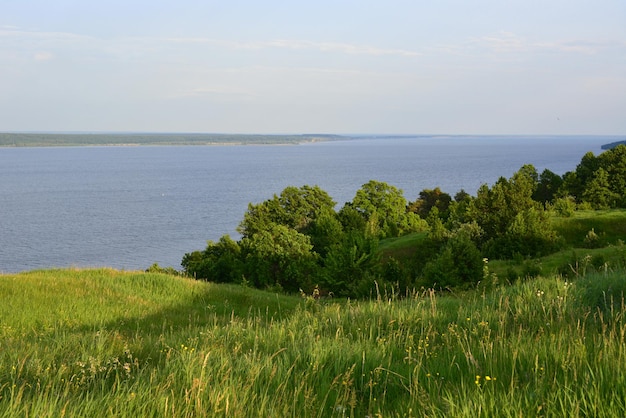 Küste, die mit grünem Gras und grünen Bäumen bedeckt ist, mit blauem Fluss