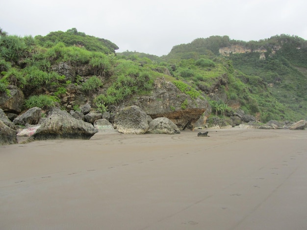 Küste Dünen Strand Meer