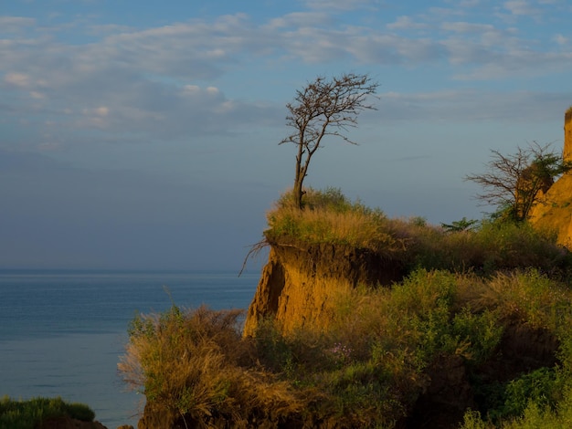 Küste mit steilen Klippen Blick auf die Küste des Schwarzen Meeres in der Nähe des Dorfes Sanzhiyka in der Region Odessa, Ukraine Seascape withclay Steilküste und Meer im Hintergrund