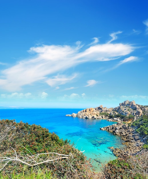 Küste von Capo Testa an einem klaren Sommertag Sardinien