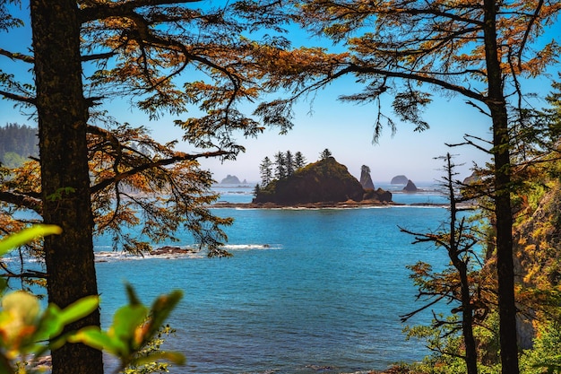 Küstenansicht von La Push Third Beach mit Seestacks im Bundesstaat Washington