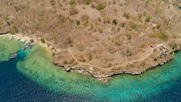 Foto küsteninsel mit korallenriff strand korallenriff atoll auf menjangan bunten riff.
