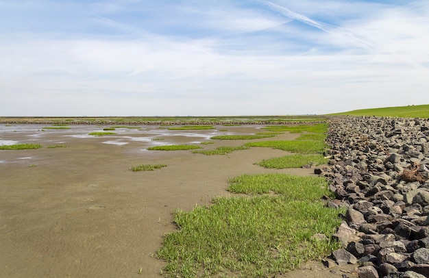 Küstenlandschaft rund um Buesum