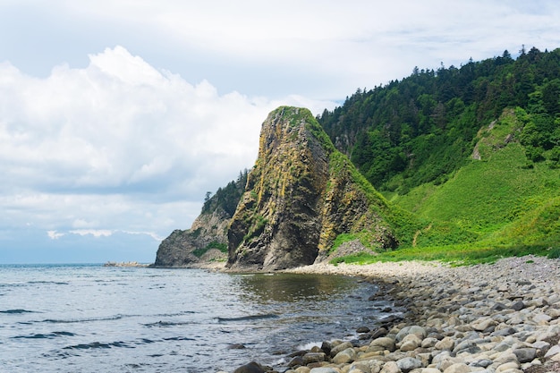 Küstenlandschaft schöne Lavafelsen an der grünen Küste der Insel Kunaschir