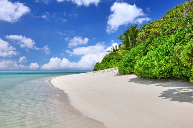 Küstenlinie einer tropischen Insel auf den Malediven und Blick auf den Indischen Ozean.