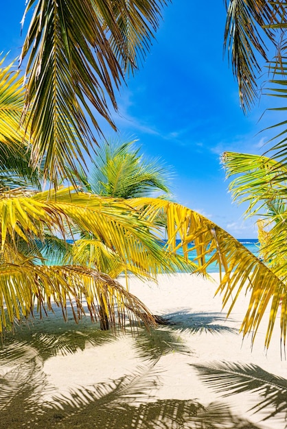 Küstenlinie einer tropischen Insel auf den Malediven und Blick auf den Indischen Ozean