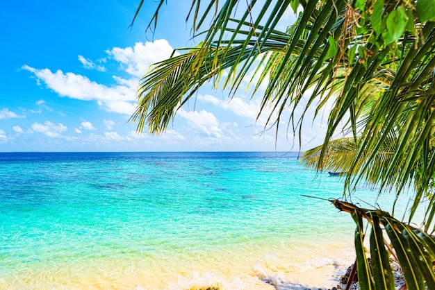 Küstenlinie einer tropischen Insel auf den Malediven und Blick auf den Indischen Ozean