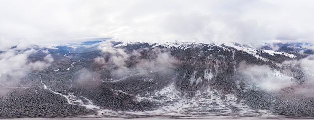 Kugelförmiges schneebedecktes Panorama von Fichten