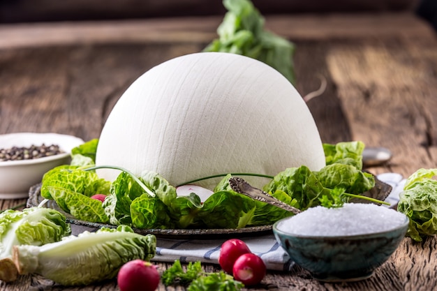 Kuh Ceese. Frischer weißer Kuhkäse mit Salat-Salat-Rettich-Salz-Pfeffer und Olivenöl.