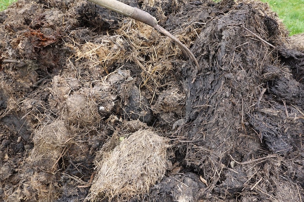 Kuhmist für den Garten Misthaufen Kuhkot zum Pflanzen im Garten organischer Mistdünger