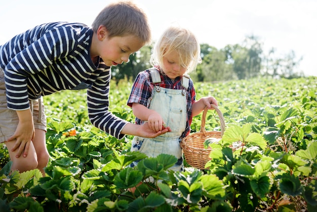 Kultivieren Sie Garten-Natur-Saisonwachstums-Konzept