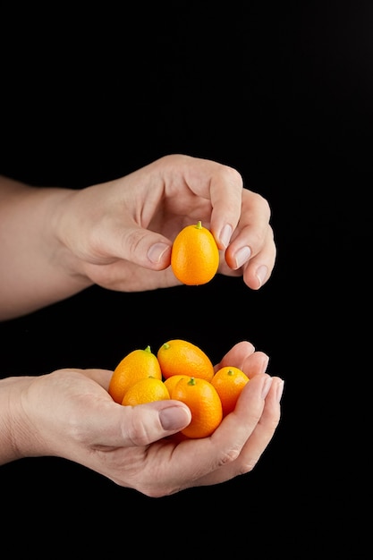 Kumquat, frutas cítricas frescas, variedade Nagami. Punhado, pilha de cumquats nas mãos sobre fundo preto. Comido inteiro, comida saudável, dieta crua. Punhado de frutas ovais maduras fortunella ou kinkan