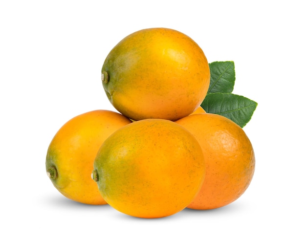 kumquat laranja isolado no fundo branco