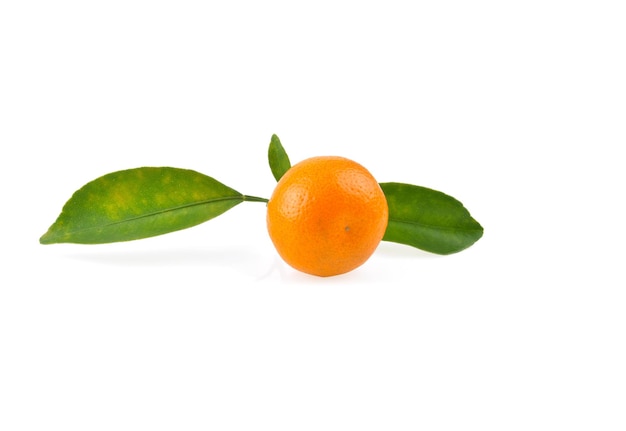 Kumquat-Orange, die auf weißem Hintergrund platziert wurde