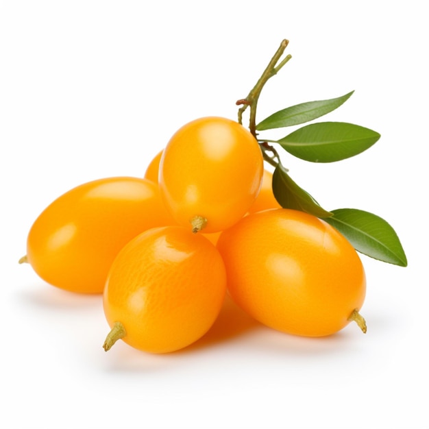 Kumquats con fondo blanco de alta calidad ultra