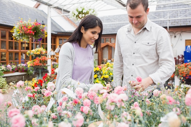 Kunden, die Blumen wählen