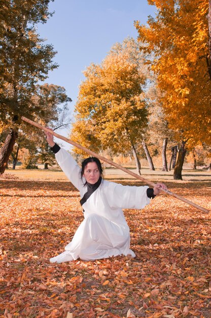 Kung-Fu-Meister in der Verteidigung