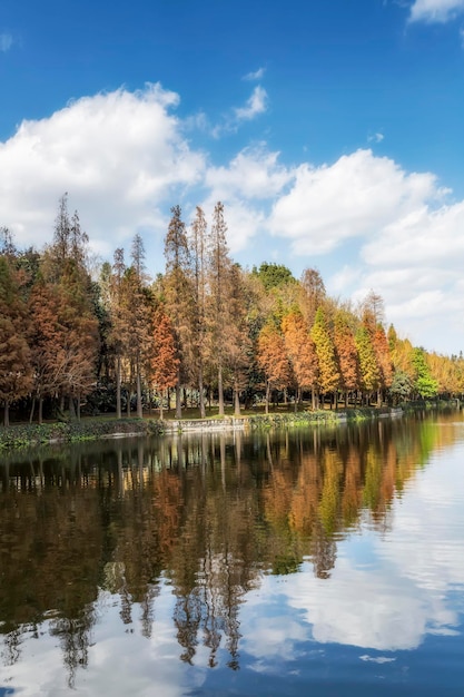 Kunming ethnisches Dorf Chinesische Gartensee-Naturlandschaft