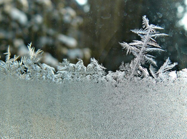 Foto kunst der natur gefrorenes fenster