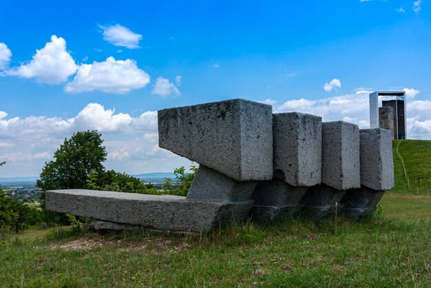 Foto kunst in der natur