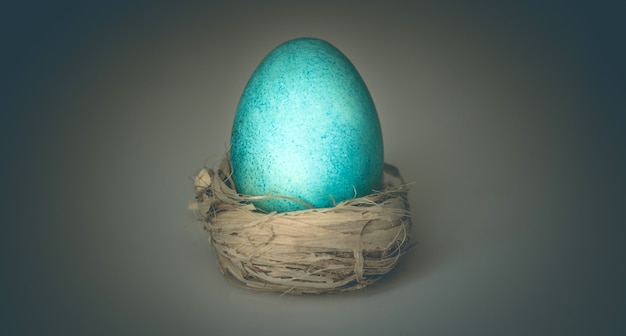 Kunstfoto eines blauen Eies auf einem dunklen Hintergrund